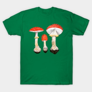 Fly Agaric Mushrooms T-Shirt